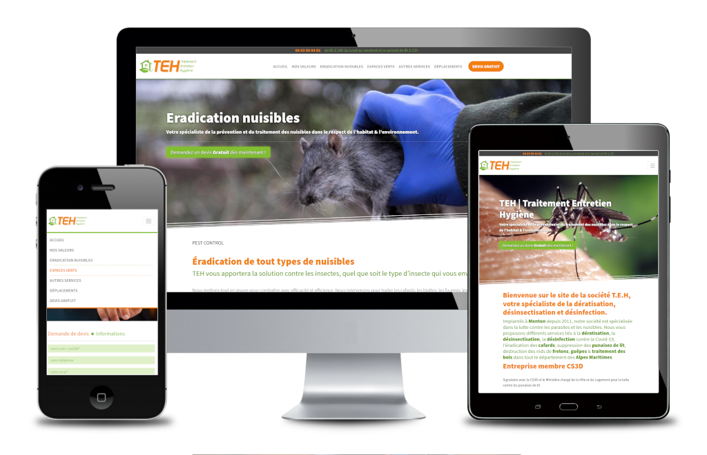 Portfolio Alain Dessi, création site internet TEH | Traitement Entretien Hygiène #1